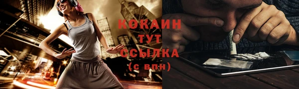 ПСИЛОЦИБИНОВЫЕ ГРИБЫ Алексеевка