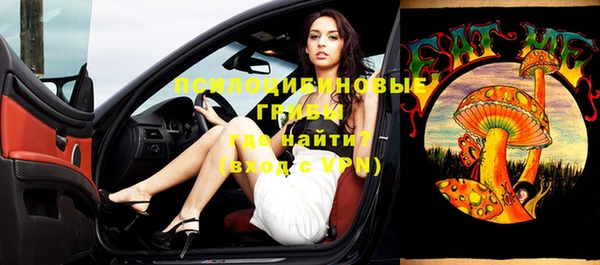 сатива Алзамай